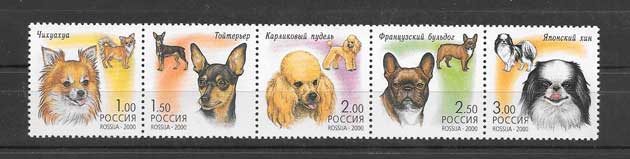Sellos fauna - perros de Rusia